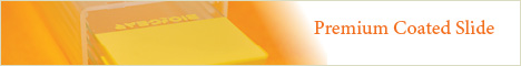 banner ad